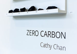 ZeroCarbon-6018 cropped 2